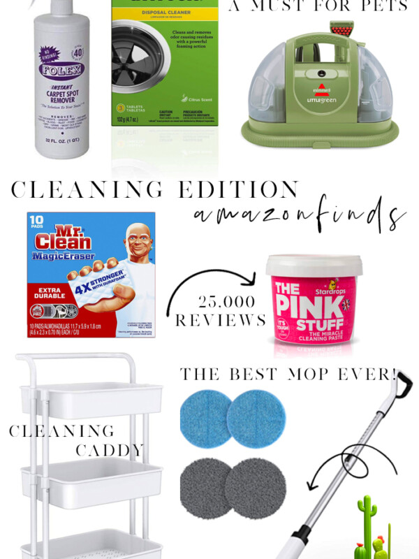 amazon cleaning favorites