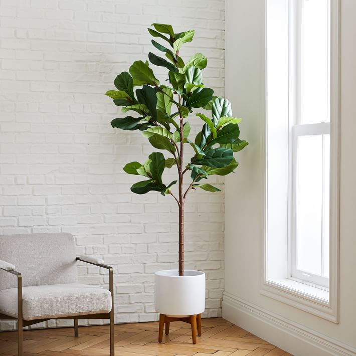 best faux fiddle leaf fig tree