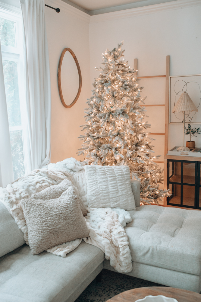 cozy living room